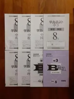 学力テスト 中3◇2022年度8月実施◇実力強化問題集◇5教科◇高校受験 過去問のサムネイル