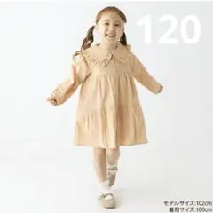 Item thumbnail for item 49340814-723f-4df2-a240-983c37194af6