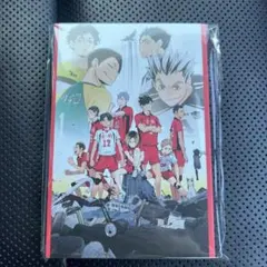 【新品未使用】ハイキュー!! ハッピーくじ！G賞 ポストカードブック！