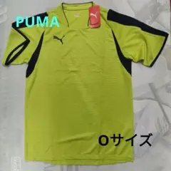 Item thumbnail for item 8b459e29-350d-4ef5-b8f8-0d7bdbccaa7e