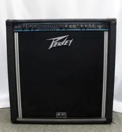 2025年最新】PEAVEY BASS アンプの人気アイテム - メルカリ