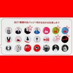 KK 60 小泉今日子 缶バッジ 武道館 ガチャ コイズミ記念館 - メルカリ