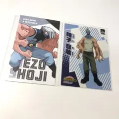 僕のヒーローアカデミア クリアカード 名刺カードコレクション ヒロアカ展