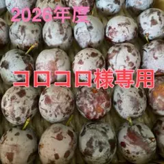 コロコロ様専用　長野県産プルーン　訳あり　約5キロのサムネイル