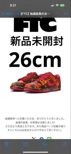 The Wizard of Oz × Nike SB Dunk Low