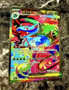 おすし様専用　メガフシギバナ