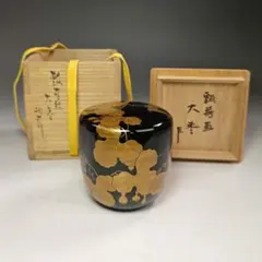 2025年最新】大棗 蒔絵の人気アイテム - メルカリ