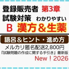 令和8年試験対策【登録販売者テキスト】試験対策B 漢方＆生薬 込2,800円