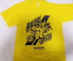 Item thumbnail for item ed72aaaa-548e-4f7b-9ec9-aa3ac69beefe