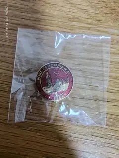 レトロ】こどもの国 横浜 シンボルマーク バッジ - メルカリ