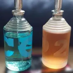 vz☆ほぼ全量☆ 2点セット CO2 オードパルファン 100ml 香水 - メルカリ