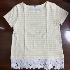ナチュラルビューティーベーシック裾レース付き ボーダーTシャツ 半袖のサムネイル