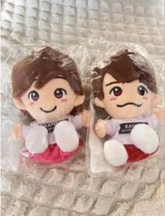 ちびぬい 道枝駿佑、西畑大吾　セット売り‼️