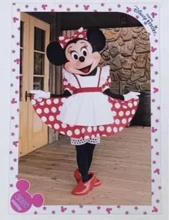 ディズニー TDL 2009スペフォ★ウエスタンミニー