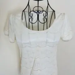 Natural　Beauty　Basic　総レース　半袖カットソー　ホワイト