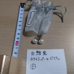 ★フィリピン産★ホワイトパールピアス　④