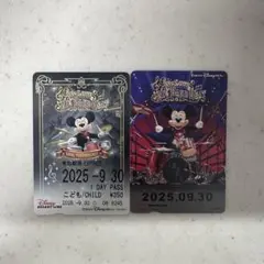 リゾートライン ビッグバンドビート フリーきっぷ