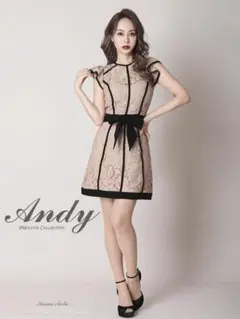 【ヌーブラ不要】Andy レース ノースリーブ リボン 花柄　フレアミニドレス