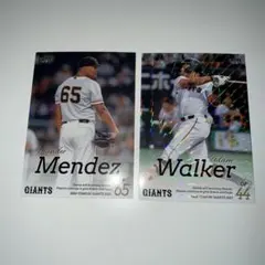 2023 GIANTS トレーディングカードセット