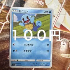 ゼニガメ 在庫4