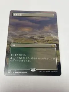 ボーダーレス　低木林地　Brushland