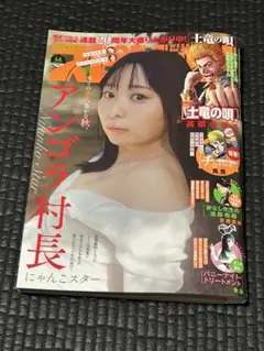ビッグコミックスピリッツ2025年No.46