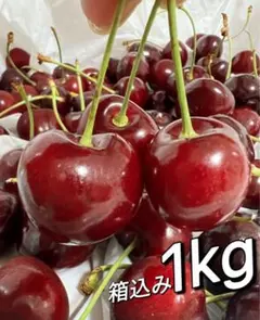 ポスト投函　11.5rowアメリカンチェリー箱込み1kg 父の日中元　さくらんぼのサムネイル
