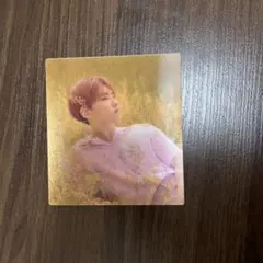 SEVENTEEN you made my dawn ホシ