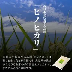 【送料無料】令和7年大分県産ヒノヒカリ　10kgのサムネイル