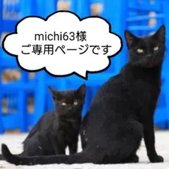 michi63様ご専用ページです(^^)