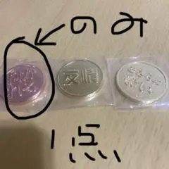 microフォローで100円引きです。様ご専用　運命のコイン 恋愛編　抱かれる