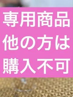 Carey.B様専用商品、他の方は購入不可