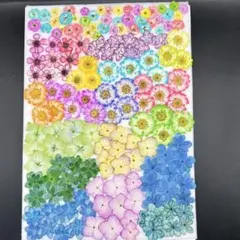 Item thumbnail for item 2297f15c-fdf8-45d4-8cbd-156321afc42c