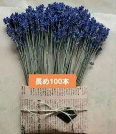 ラベンダー ドライフラワー 100本