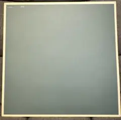 boards of canada - Peel Session レコード　LP