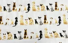 おすわり犬柄生地　ホワイト　オックス生地　110×65