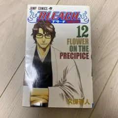 ブリーチ　12巻