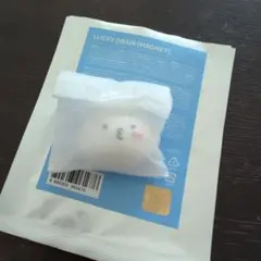 セブチ MINITEEN ミニティーン ウジ マグネット ピョプリ