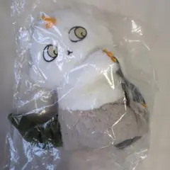 ちいかわ あのこといっしょ ぬいぐるみショルダーバッグandあのこ
