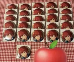 あんスタ　缶バッジ　朱桜司　シャッフル　26点