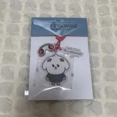 TXT ボムギュ バムグッ キーリング