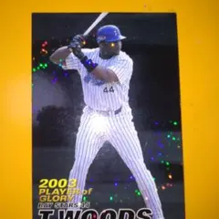 タイロン ウッズ選手　実使用　バッティンググローブ タイロン ウッズ選手 実使用 バッティンググローブ