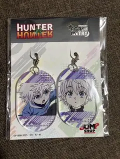 キルア アクリメトリー HUNTER × HUNTER