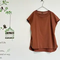 a.v.v STANDARD/フレンチスリーブブラウス シースルー襟 L