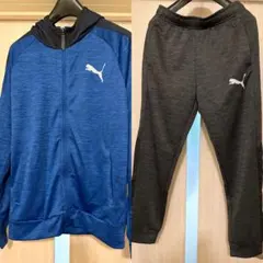 PUMA トラックジャケット フーディー / トラックパンツ / セットアップ