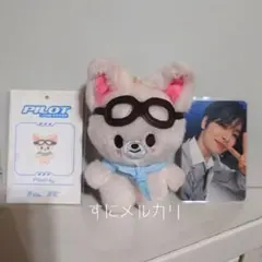 2025年最新】SKZOO 10cm pilotの人気アイテム - メルカリ