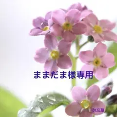 ままだま様専用ページ✩.*˚ SWAROVSKIサンキャッチャー✩.*˚