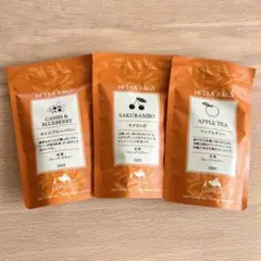 Item thumbnail for item 385121e4-d714-4f94-b3f8-57823effd09f