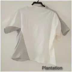 【最終価格】Plantation　トップスのサムネイル