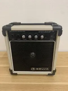 2025年最新】selva アンプの人気アイテム - メルカリ